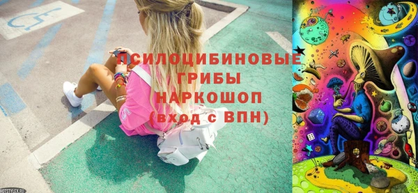герыч Алексин