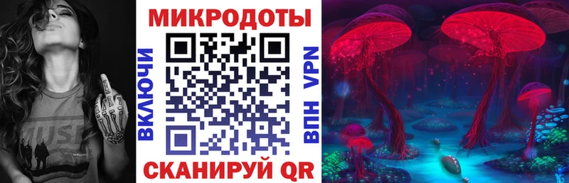 Галлюциногенные грибы Psilocybe  Каневская 